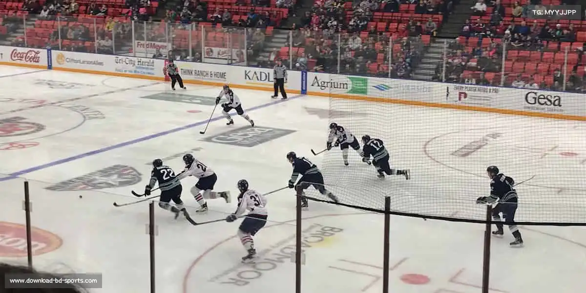 半岛体育官网——💥爆发潜能，挑战不可能！